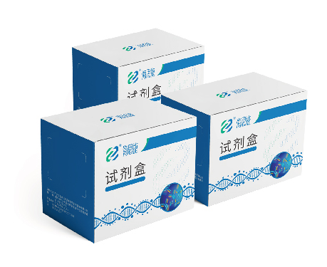 大鼠冠状病毒/延泪腺炎病毒（RCV/SDAV）ELISA抗体检测试剂盒